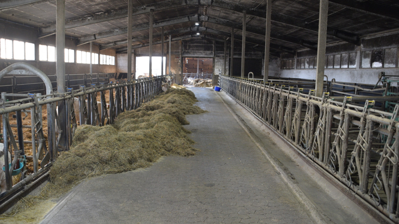 Futtertisch im Betrieb Doetsch.
