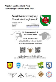 32. Schwarzkopf- und 30. Suffolk-Eliteauktion am 18./19. März 2026 in Krefeld
