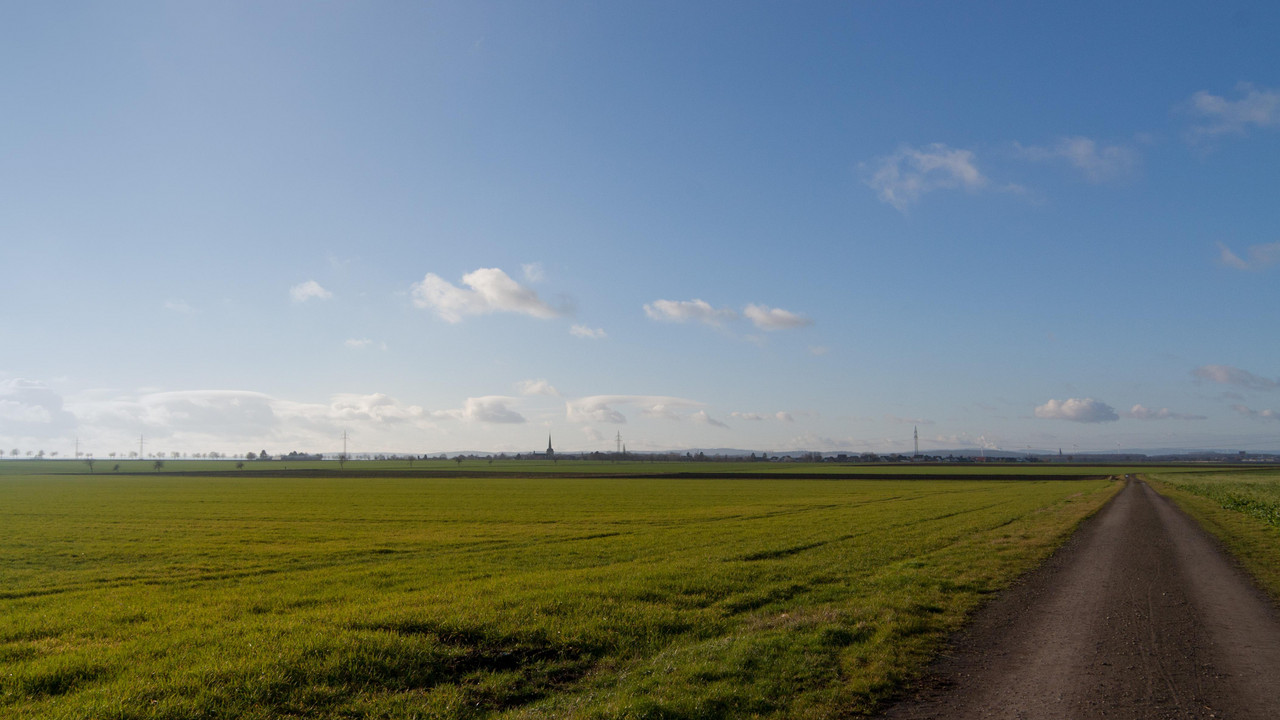 Grünes Feld