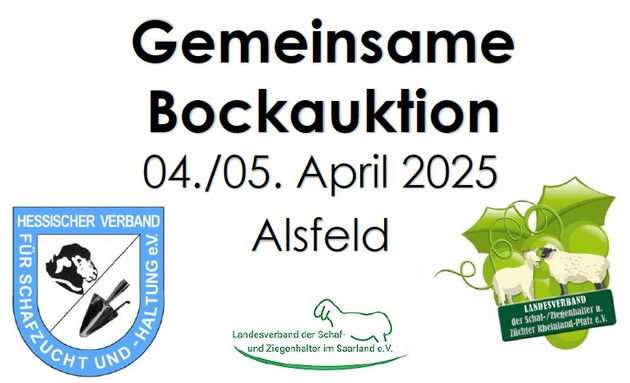 Gemeinsame Bockauktion HE-RLP-SL 
